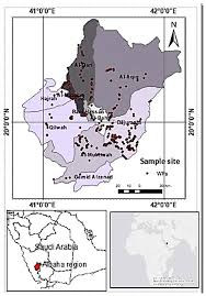 Image result for Eschenbachia gouanii