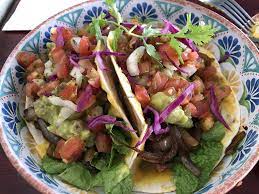 72 on kloof, nicol street gardens. The Fat Cactus Gardens Cape Town Restaurant Happycow