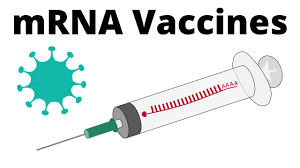 Check spelling or type a new query. Mrna Vaccines And Their Mechanism Of Action Animation Pfizer Biontech Moderna And Co Youtube