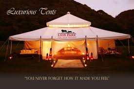 Gir Safari Resort Tents Come And Experience The Real Farm Stay With Us Tentingir Foresttent Lionpark Indianlion Safari Tent Tent Best Tents For Camping
