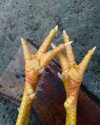 Jalu Ayam Bangkok Bangkok Ayam