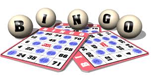 Image result for bingo!