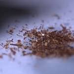  Drug laced with bug spray leads to spike in overdose calls in Indianapolis