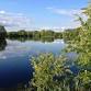 Conningbrook Lakes Guided Walk event image