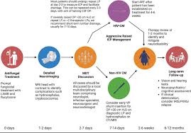Image result for Cryptococcal Meningitis