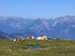 На территории есть теннисный корт. Schatzberg Haus Auffach In Auffach Osterreich 40 Bewertungen Preise Planet Of Hotels