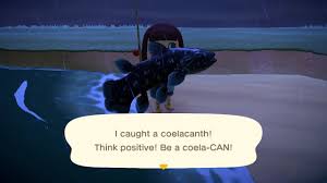 The coelacanth is an awkward fish to catch in new horizons, as you can only do so when it is raining. How To Catch A Coelacanth In Animal Crossing New Horizons Gamespot