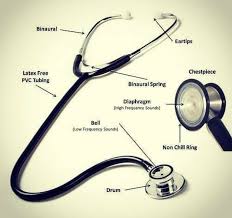 The daughter cells are identical to one another and to the original parent cell. Stethoscope Labeled Diagram Photo Food Health Pitribe