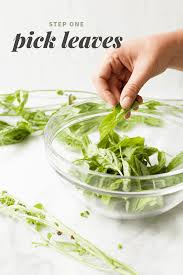 Simply cut the twigs, spread on a cookie sheet, and put into the freezer. How To Freeze Basil Wholefully