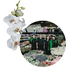 We deliver beautiful fresh flowers and gifts from monday to saturday. Home T G Flower Growers