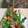 Carving out circular areas or curved paths among the green grass is a common idea for incorporating flowers into the backyard design. 1