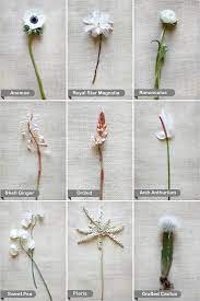 Does your favourite flower come in white, is it in below is a flower guide with flower names that come in white or cream, catagorised in each exerpt from a book; Wedding Flower Guide Wedding Ideas Nownowpolka