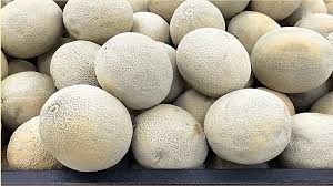 Great news for desert dwellers. How To Pick The Perfect Sweet Cantaloupe 6 Tips Delishably