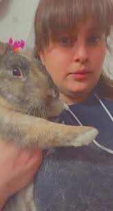 Is coconut oil safe for molting bunnies?