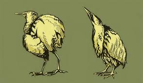 Two Bitterns For The Norfolk Wildlife Trust Illustration By Beverley Gene Coraldean Www Norfolkwildlifetrust Org Uk Illustration Wildlife Art