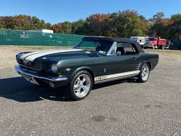 Image result for Ivy Green 1966 Mustang