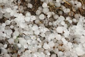 Finden sie bewertungen und erfahrungen zu hagel.ch. Gefragte Ernteversicherungen Der Schweizer Hagel Angesichts Der Zunehmenden Wetterextreme Fruchtportal