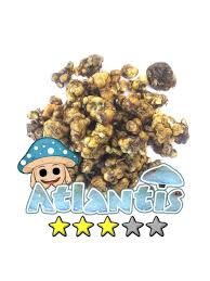 Usa, uk, canada and whole of europe. Atlantis Magic Truffles Sclerotia Dutch Grow Kits Webshop