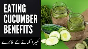 Cucumber juice benefits in urdu. Eating Cucumber Benefits For Skin Cucumber Juice Kheray Ke Fawaid In U Cucumber Benefits Cucumber Cucumber Juice Benefits