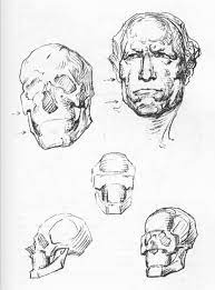 Bridgman Complete Guide To Drawing From Life Pdf Pdfy Mirror Free Download Borrow And Streaming Internet Archive Bridgman Anatomy Art Drawings