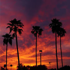 Sunrise and sunset in phoenix, as well as day length, twilight and solar noon for every day of the check out today's and tomorrow's sunrise and sunset times in phoenix, arizona, united states, as. Sunset Over Phoenix Az Pics