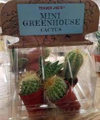 Trader joe's already cornered the markets on frozen. Trader Joe S Mini Greenhouse Cactus Reviews Trader Joe S Reviews