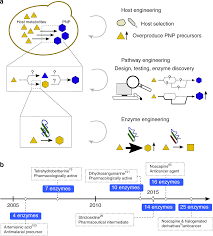 Synthetic Biology Strategies For Microbial Biosynthesis Of