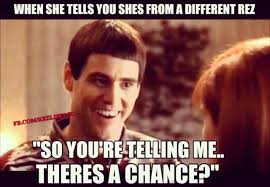 So You Re Telling Me There S A Chance Lol Native Humor Dumb And Dumber Comedians