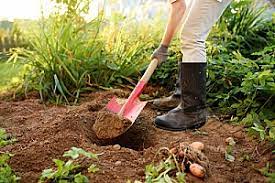 Avoid buying too much or too little by knowing exactly how many cubic feet you'll need. How Much Does A Cubic Foot Of Dirt Weigh Dirt Connections