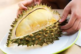 Enzim papain juga berguna meningkatkan efektivitas pengolahan makanan dalam tubuh dan membuat kulit bercahaya. Alasan Buah Durian Tidak Dianjurkan Untuk Menu Diet