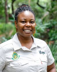 WIL Zimbabwe Elephant Nursery: an oasis of hope for elephants