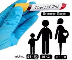 Normal Tsh Levels Chart By Age Best Picture Of Chart