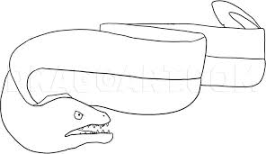 How To Draw An Eel Step By Step Drawing Guide By Dawn Dragoart Com See more ideas about drawings, wolf drawing, wolf. how to draw an eel step by step