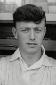 52 Michael Bear Stock Pictures, Editorial Images and Stock Photos