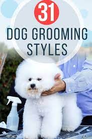 31 Dog Grooming Styles And Trims Playbarkrun Dog Grooming Styles Puppy Grooming Dog Grooming
