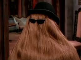 Cousin It Addams Family Tv Show Hair Addams Family