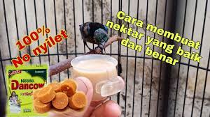 Biasanya flu atau cacingan dapat menyebabkan ayam broiler menjadi malas untuk makan dan minum. Cara Membuat Makanan Untuk Burung Konin Youtube