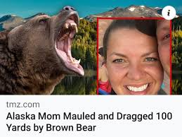 Bear mom takes revenge