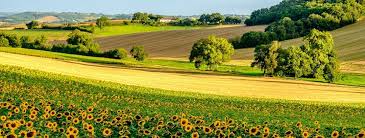 Gers synonyms, gers pronunciation, gers translation, english dictionary definition of gers. Gers Welcome In The Heart Of Gascony List Outdooractive Com
