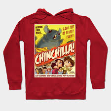 Chinchilla