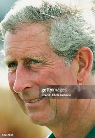 Justin Stanhope-White playing for the Army falls from his horse at... News  Photo