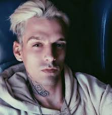 Aaron carter cierra un año tremendamente polémico para él en el que ha sido protagonista por indeseables el polémico 2020 de aaron carter: Aaron Carter Family Wife Parents Siblings Themefam