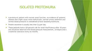 Image result for Isolated Proteinuria