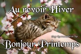 RÃ©sultat de recherche d'images pour "bonjour le printemps soleil fleurs"