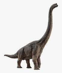 Maybe you would like to learn more about one of these? Jurassic World Brachiosaurus By Sonichedgehog2 Dc55jvt Jurassic World Evolution Brachiosaurus Png Image Transparent Png Free Download On Seekpng