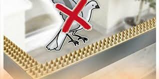 شركة مكافحة حمام في دبي Clothes Hanger Holiday Decor Decor