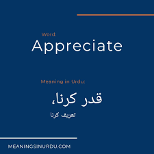 An occasion when you suddenly realize th.: Your Gratitude Meaning In Urdu