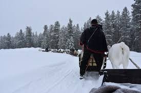 Er kam auf leisen sohlen ganz über nacht, hat heimlich und verstohlen den ersten schnee gebracht. Schlittenfahrt Picture Of Jaakkola Reindeer Farm Luosto Tripadvisor