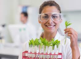 Extracting the Future of Herbs