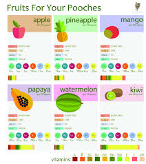 Peaches are safe for your dog to eat. Fruits For Dogs Graphic Fruits For Dogs Can Dogs Eat Shiba Inu